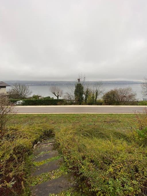 La Roseliere Sud, Vue Lac & Jardin Sevrier Bagian luar foto