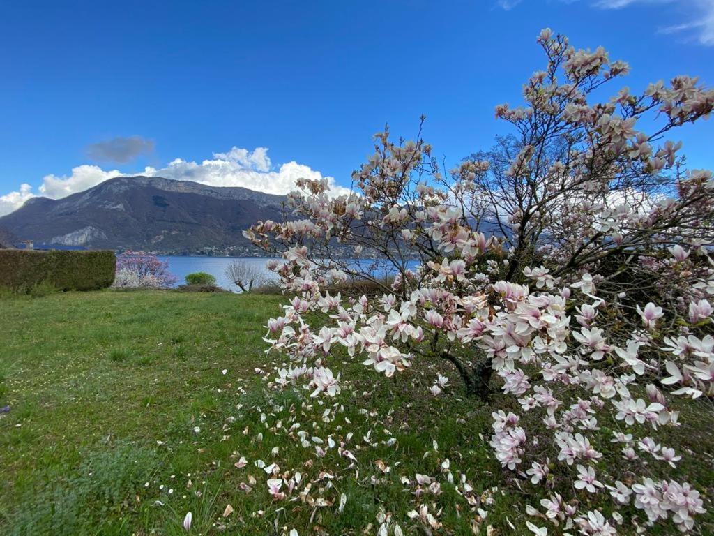 La Roseliere Sud, Vue Lac & Jardin Sevrier Bagian luar foto